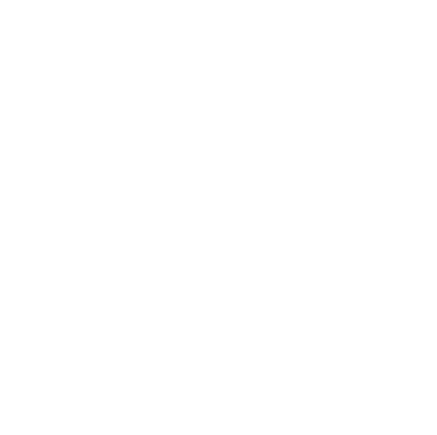 ZUM1 Conseil Logo